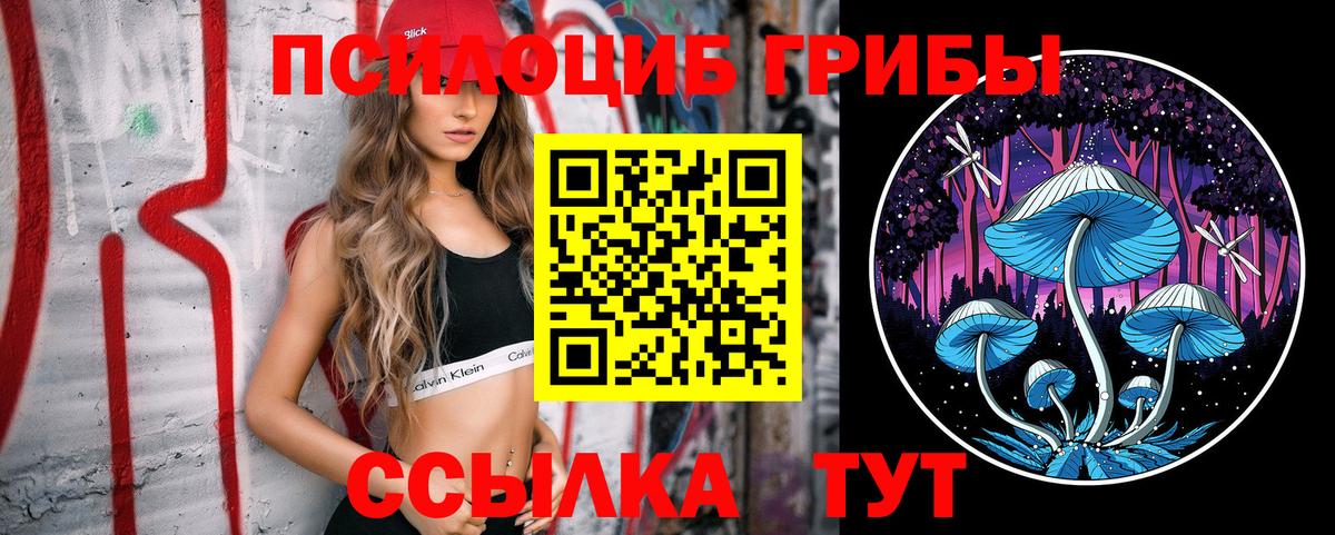 цена наркотик  Псилоцибиновые грибы Psilocybine cubensis  Вход с VPN  Оренбург  Галлюциногенные грибы прущие грибы 